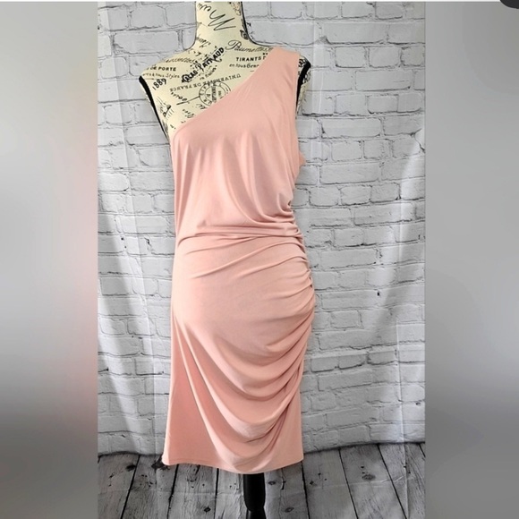 Michael Costello x Revolve Kimberly One Shoulder Soft Pink Midi Dress- M NWT - Picture 1 of 10